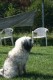 Thumbs/tn_Bild-01 013.jpg